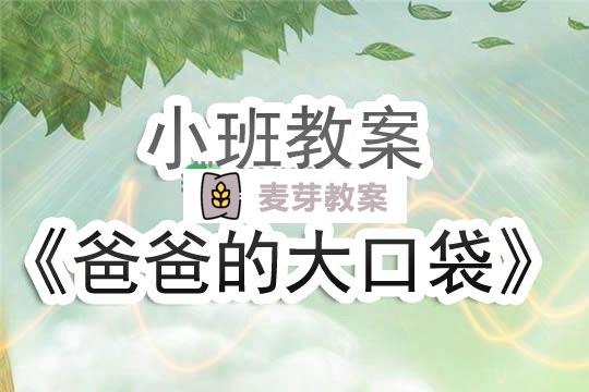 幼兒園小班教案《爸爸的大口袋》