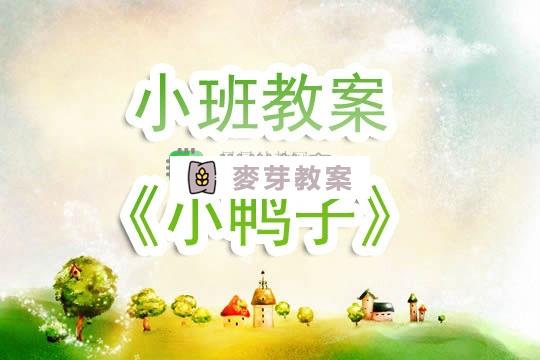 幼兒園小班教案《小鴨子》含反思