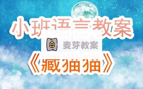 幼兒園小班優質語言教案《藏貓貓》含反思