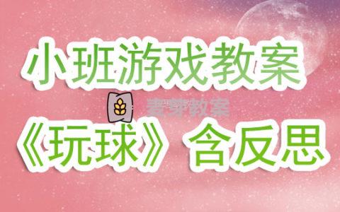 幼兒園小班遊戲教案《玩球》含反思