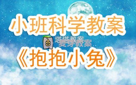 幼兒園小班科學優秀教案《抱抱小兔》