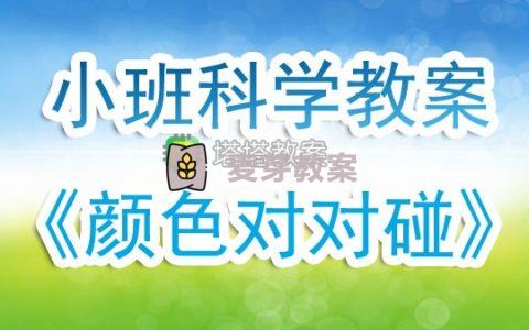 幼兒園小班下學期科學教案《顏色對對碰》含反思