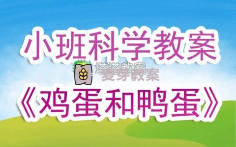 幼兒園小班上學期科學教案《雞蛋和鴨蛋》含反思