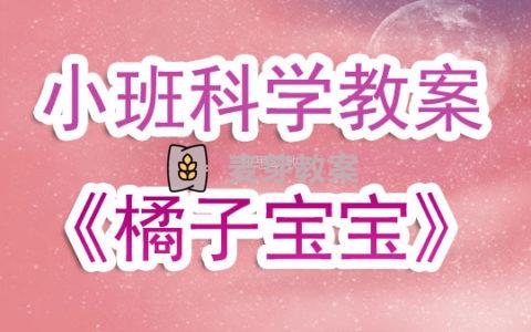 幼兒園小班科學教案《橘子寶寶》含反思