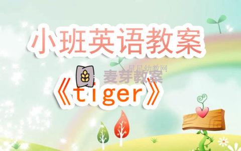 幼兒園小班英語教案《tiger》含反思