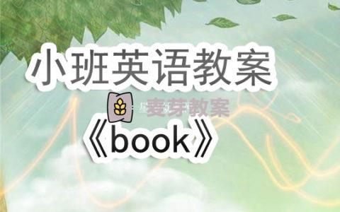 幼兒園小班英語教案《book》