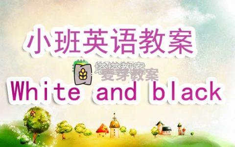 幼兒園小班英語教案《White and black》