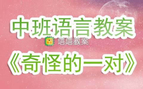 幼兒園中班語言活動教案《奇怪的一對》含反思