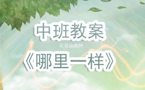 幼兒園中班教案《哪裡一樣》含反思