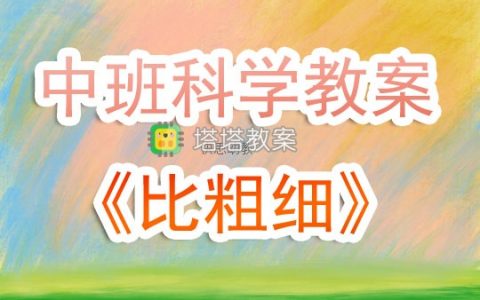 中班優秀科學教案《比粗細》含反思