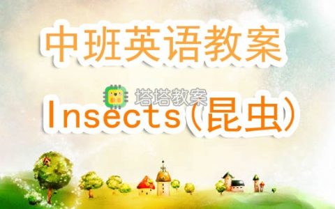 幼兒園中班英語教案《Insects(昆蟲)》