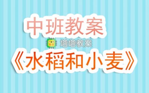 幼兒園中班教案《水稻和小麥》