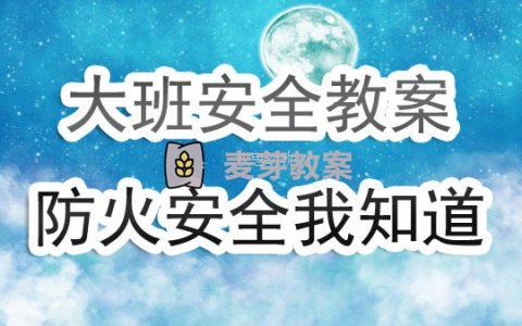 幼兒園大班安全教育教案《防火安全我知道》含反思