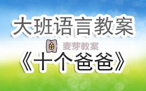 幼兒園大班優秀語言教案《十個爸爸》含反思